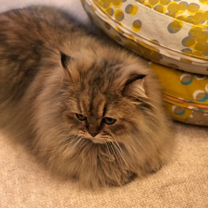 04e9ef7a 2e7e 4dce ac93 9e30bcc982cc 1517646037325