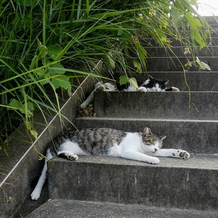 04e9f74b dcf4 4960 9c89 9550c09b2aa3 1565438010055