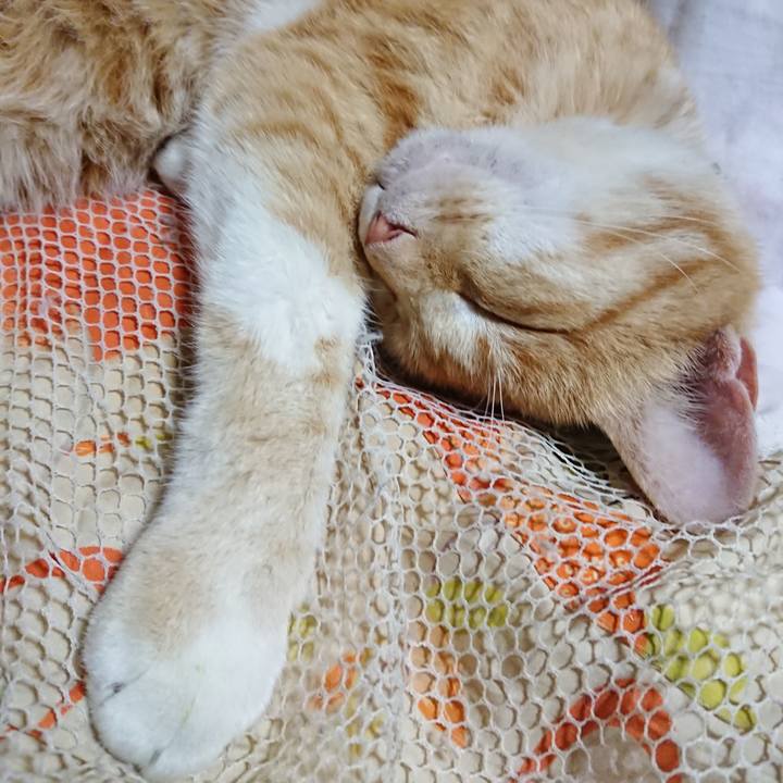 04ea1ea0 c5a6 4bc9 b0fa 4cdea56374eb 1591103001008