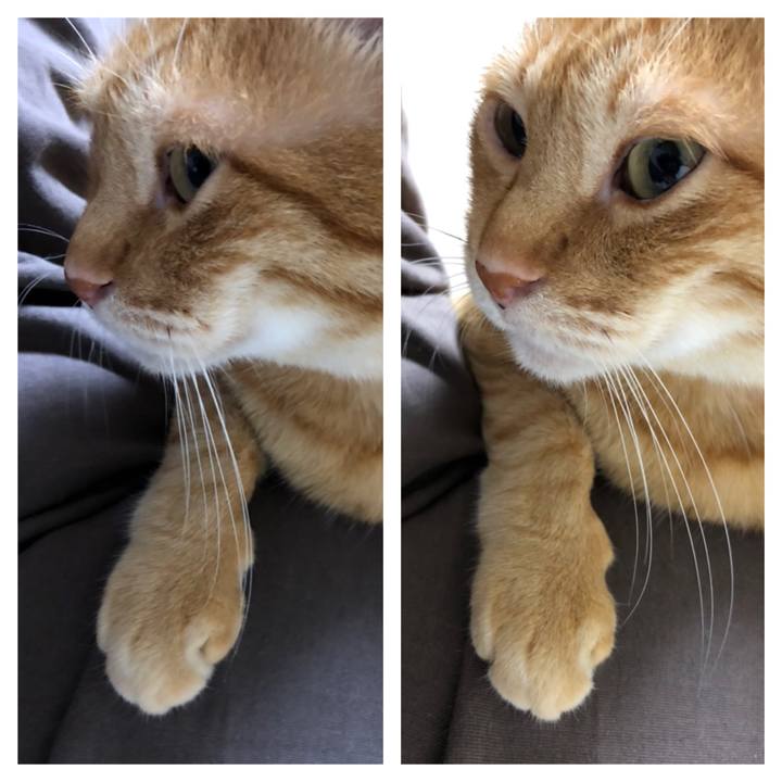 04eab7db 07cd 4434 b4d5 e685ca8e5cc1 1635501590019