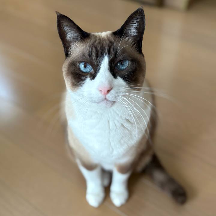 04eabe3d 76f1 424f acdd b60f37625c4a 1774492854848