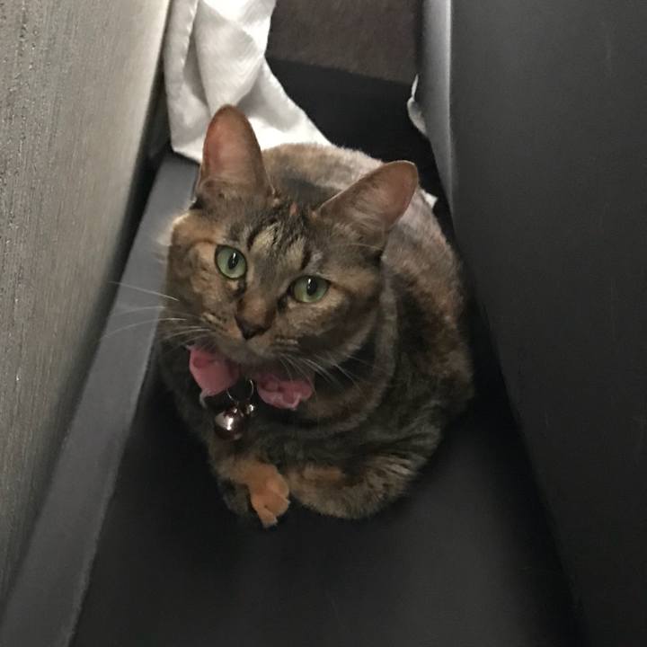 04eb1ebe a724 4ae1 9d61 b06128b639c1 1510903221236