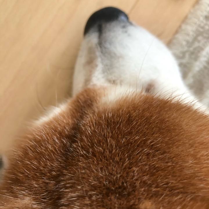 04ebb177 c243 4c88 85a1 16c028203f9d 1591765108902