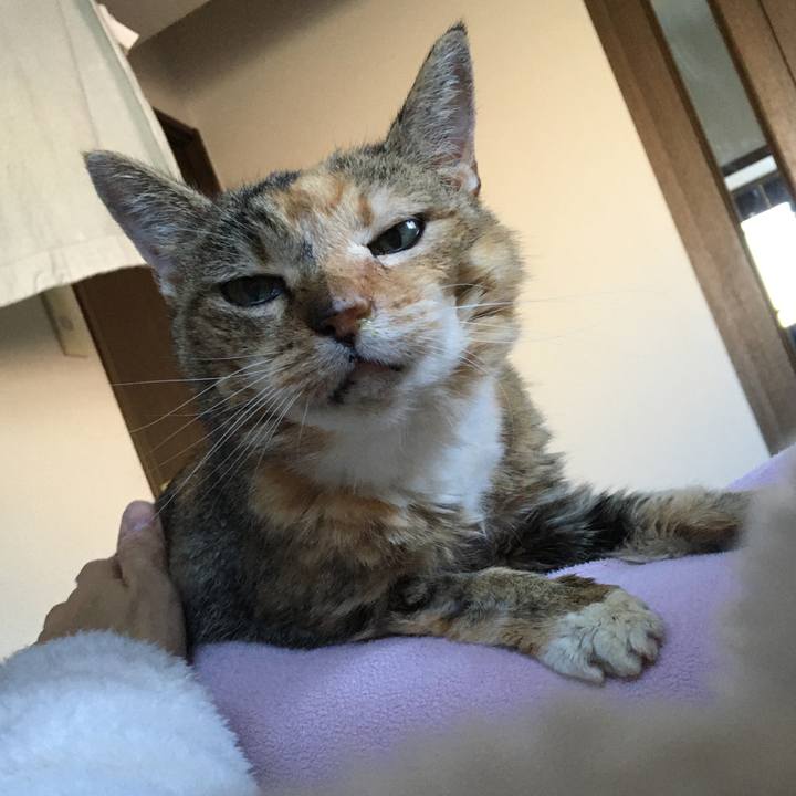 04ebc4d0 084e 4a74 9bb3 577e893e011b 1580988101824