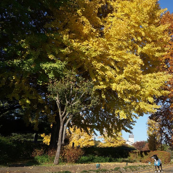 04ebdb37 12b2 43f2 87c0 25c2d2b72d69 1763686551702