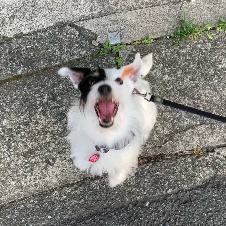 04ec4e6b 451a 4228 8526 9452d99f2abe 1689673061909