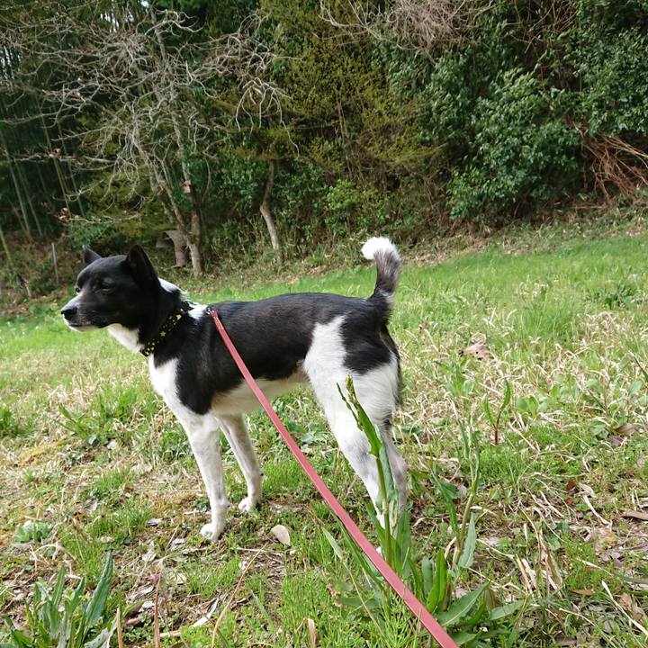 04ec83dc ca7d 4ff4 83ec d33954b6951a 1522973341569