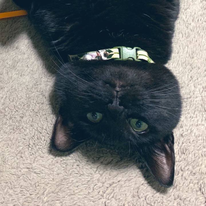 04ecbd1f c908 4b63 92d6 e8529bc3d0a5 1550409917080