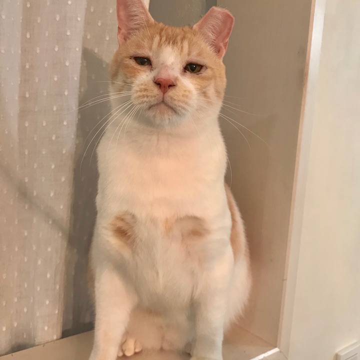 04ed0504 82fc 4274 af85 e9b0966299a1 1543832154318