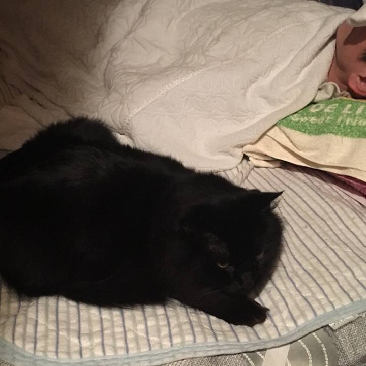 04ed3f1a bbe7 45ae b0d9 1ab8b7906dbd 1542831401695