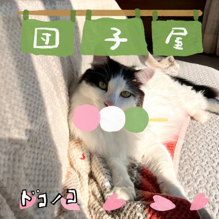 04ed41a4 80b3 4e22 a1c4 bf70d89fc4ca 1712488127128