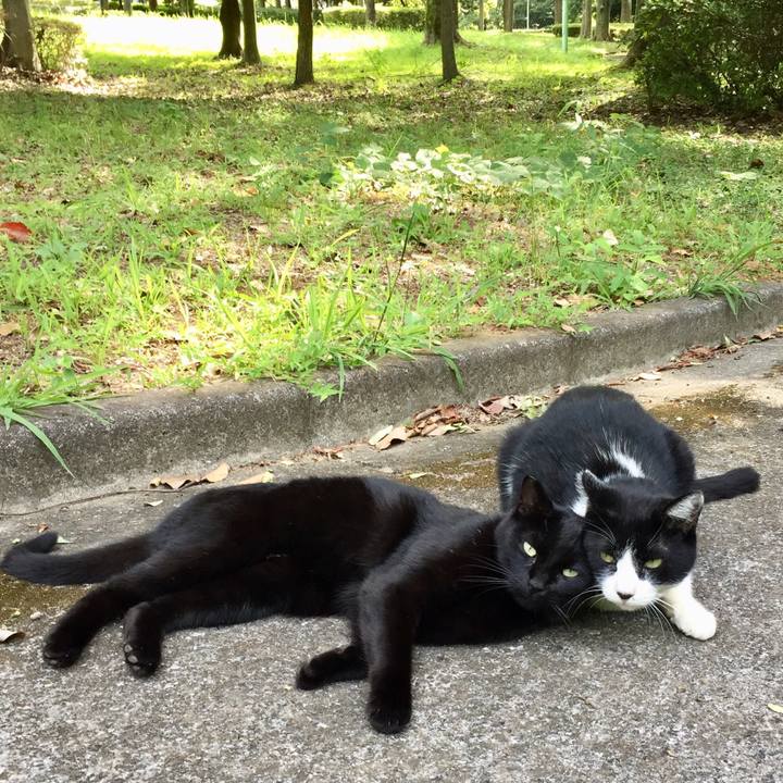 04ed5756 eb67 4067 9c88 9592f7d11180 1534558685572