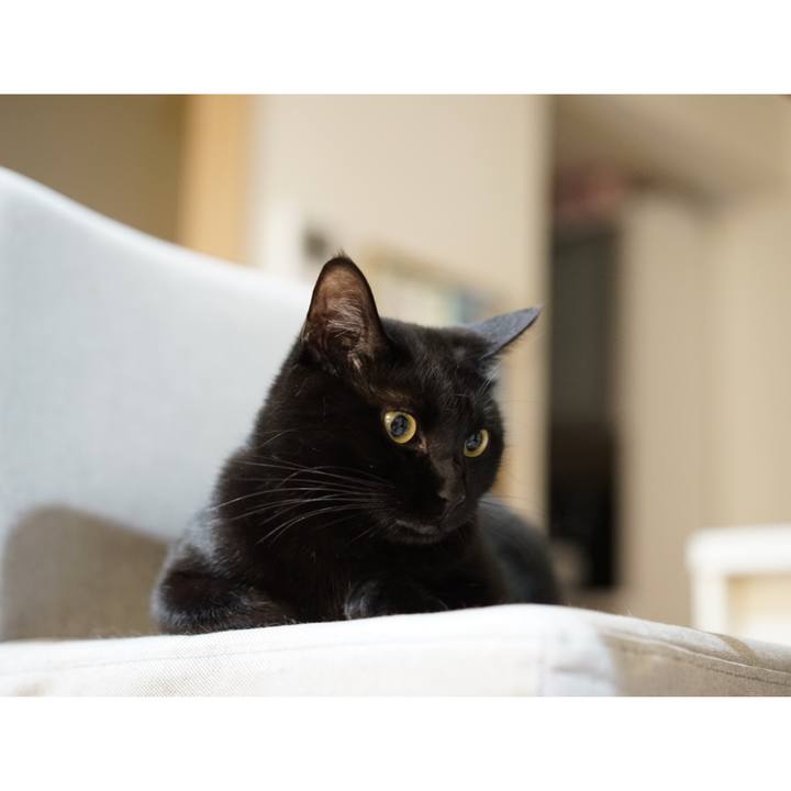 04ed8e5f 6873 48fe b952 a2d68b6545cc 1558049529068