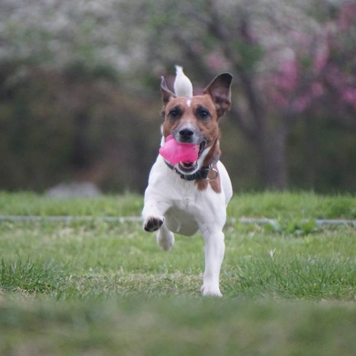 04eda0c4 b76d 494f aa16 53a6c1b7c531 1522968594039