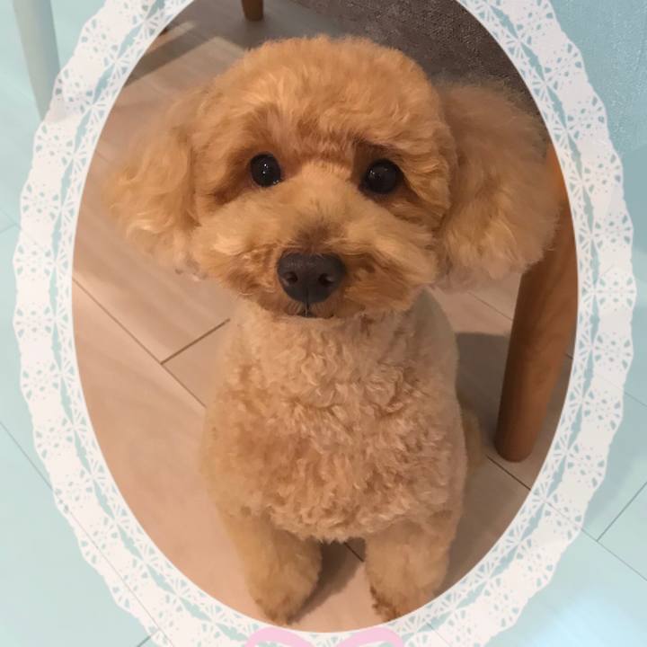 04edb478 aae0 4eb9 b2b4 37fd6ab5c5c1 1549198621141