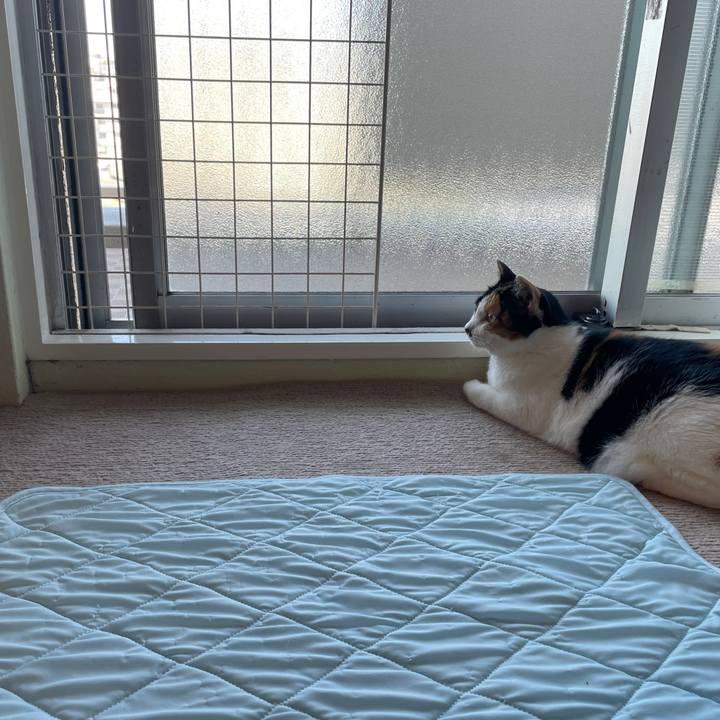 04edba10 e007 4853 a3f5 4d48e56f9761 1750580893442