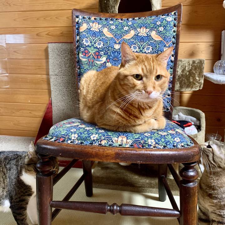 04edc6f0 287c 4241 bc42 0d830909c373 1599897787286