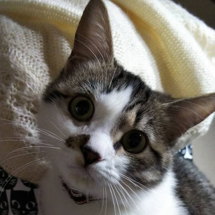 04edd89e 5975 414c 850f 46aec35c9425 1613042350360