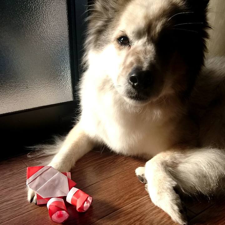 04edfb9e f5a7 4085 ad43 14de6e981127 1514112815290