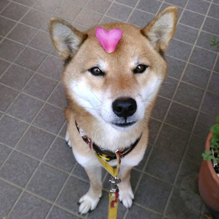 04ee15f5 426c 4f06 981a 178cd4f1c664 1543624985986