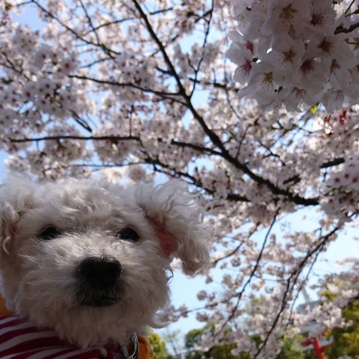 04ee219b f575 43c3 aae8 d8715e1b257a 1616819380251