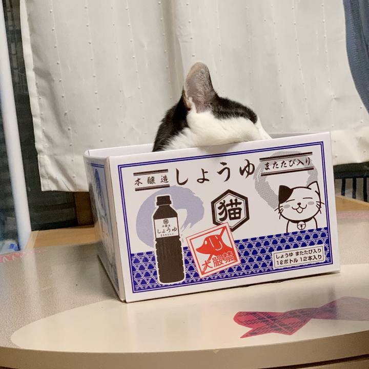 04ee232f 8323 4f27 9043 54aafa0583f0 1540086334322