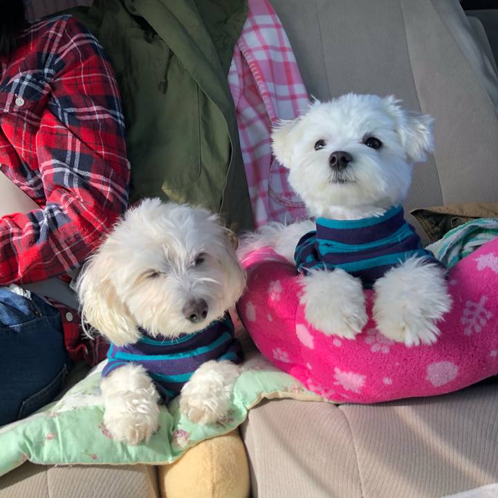 04ee478d d282 4dfe acf0 360ceea47822 1521371574167