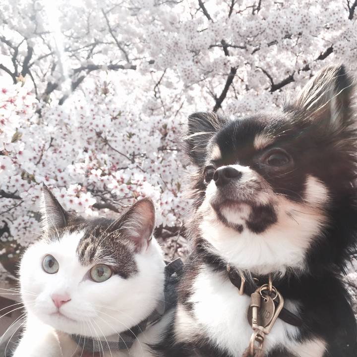 04ee67db 095a 4e7a baf6 11e09f7eac95 1522565936324