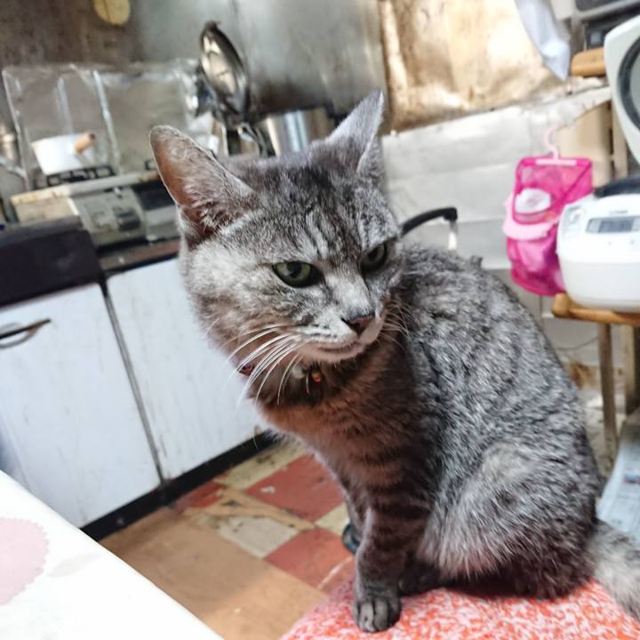 04ee84e5 5fb6 432e bca0 68060fdc341e 1583704250813