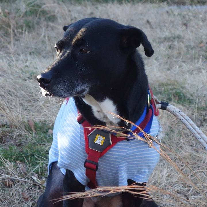 04ee9058 7e0a 4957 b848 3a7092738622 1674607830460