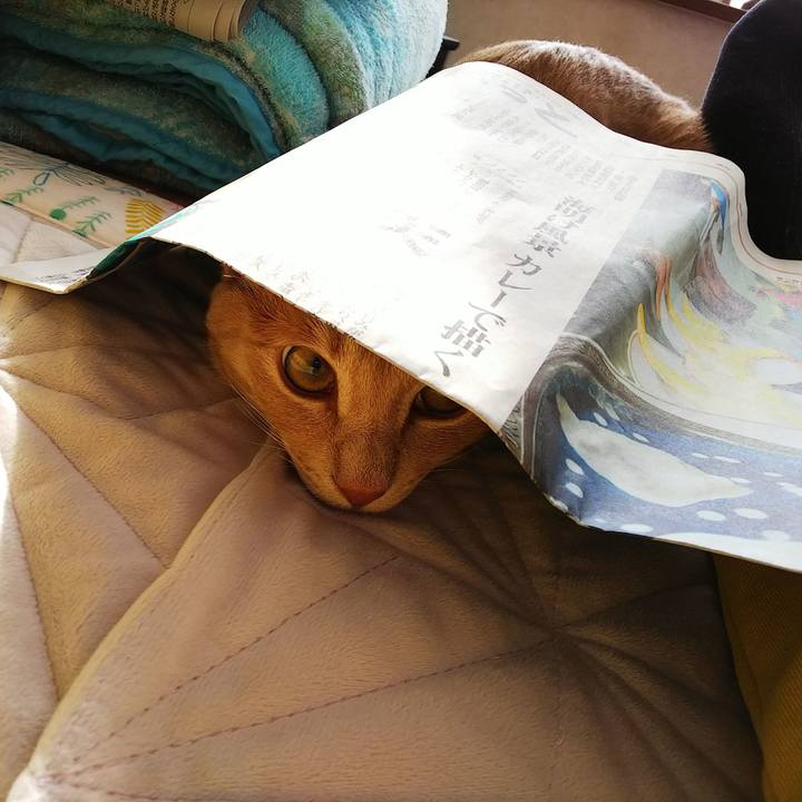 04eeb98a 850f 4af1 bb4e 97dbb8b7dce7 1552174776543