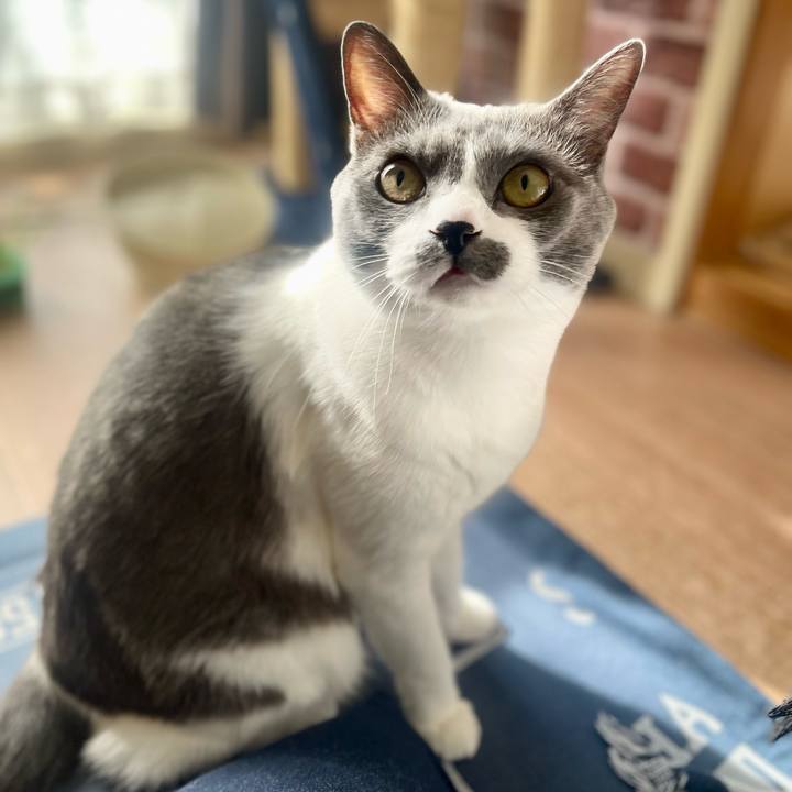 04eedd8d 835f 43ea be77 1f02dfc02222 1699146608948