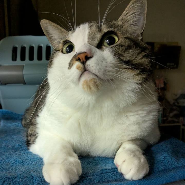 04eee44a a2ce 48d0 9e1c 0ffc47fda73f 1764068501222