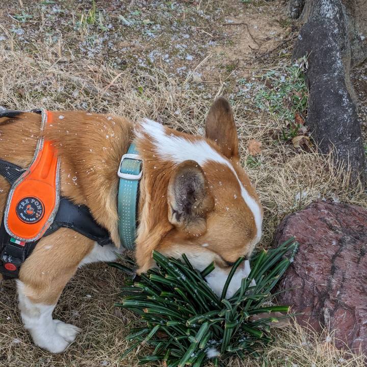 04eee76f 8587 4a31 a56b da01efd03365 1706065287361