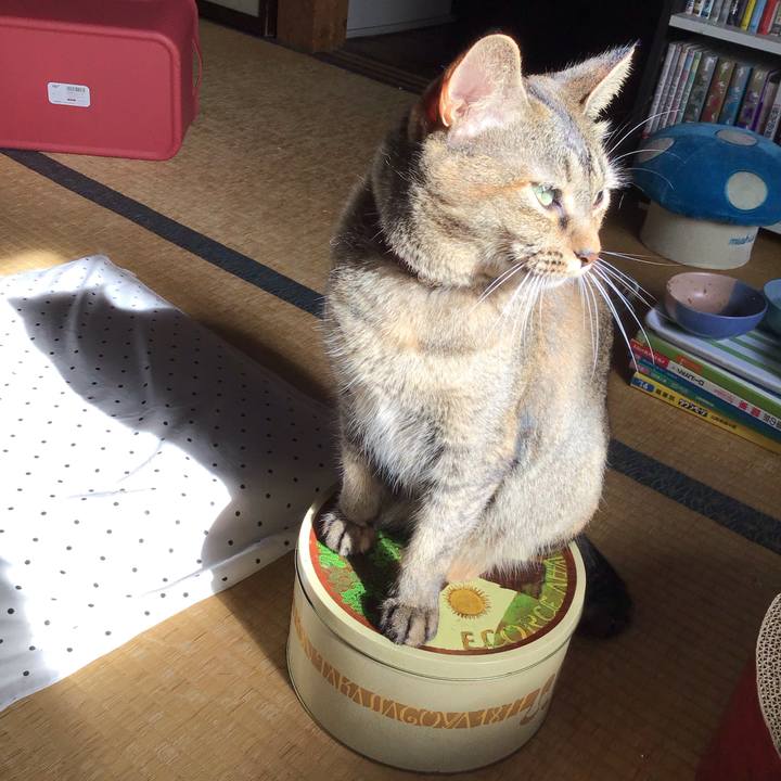 04ef016f 2671 4206 a1ae 2b78af09b848 1629328102648