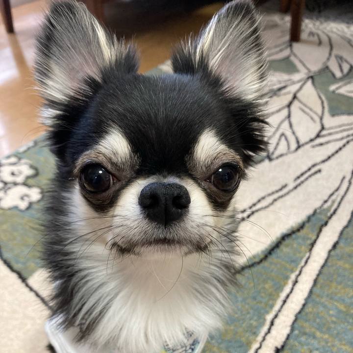 04ef1369 f9f1 4231 b8e5 57f28b010493 1619997890835