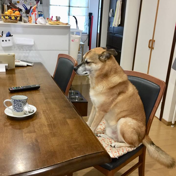 04ef13d1 ec1c 4879 8557 9c1a6ac51cab 1575937676958