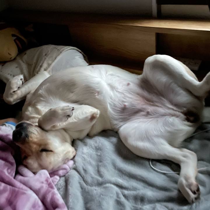 04ef4d86 c282 4e4e 9393 97ee03183cfe 1669855377038