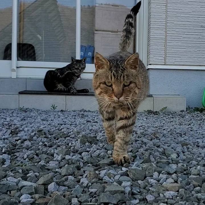 04efb9c5 9c20 43d5 b89b bb570ee1dfdf 1700138867778