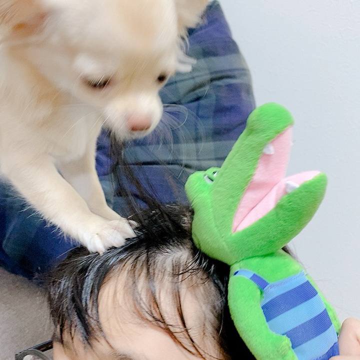 04efc596 32eb 4078 a90c d21d022ca3cd 1601210938649