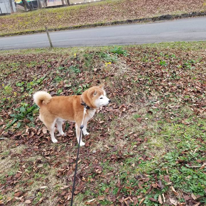 04efc855 724e 457e 9389 7c09071d9711 1669696392408