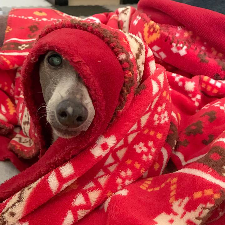 04efcde5 effe 4c92 b2c5 99d44c150643 1766313229631