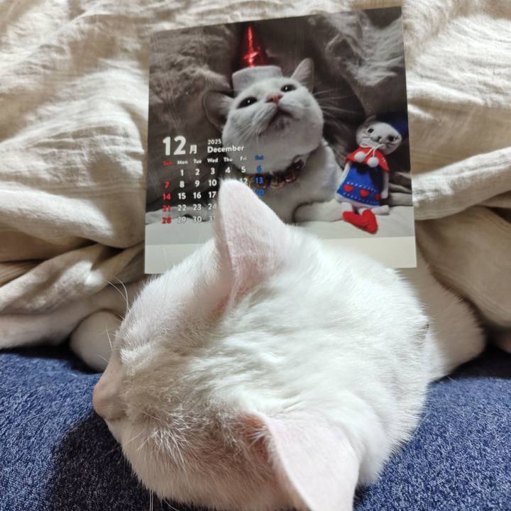 04efee6a c2a6 4cd1 abd1 53195cc56514 1764563590246