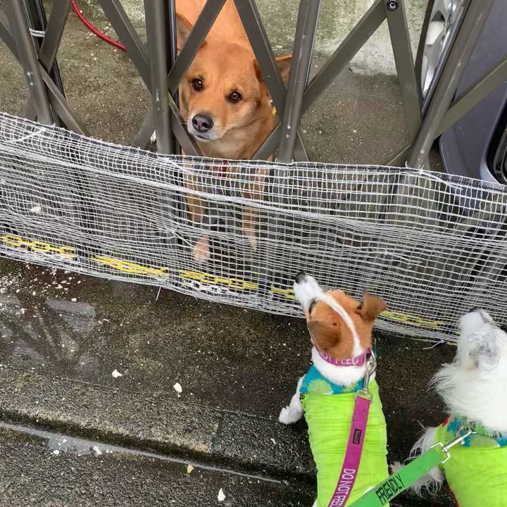 04f0104c 1ea3 46a0 abad 342d39933a83 1602729989526