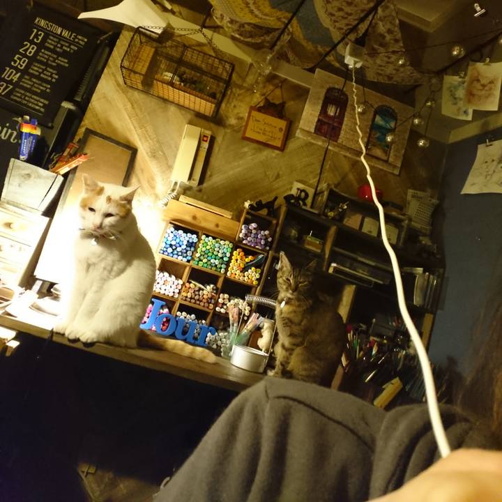 04f02ad6 6ac0 4763 acc3 011465ccb879 1573222147183