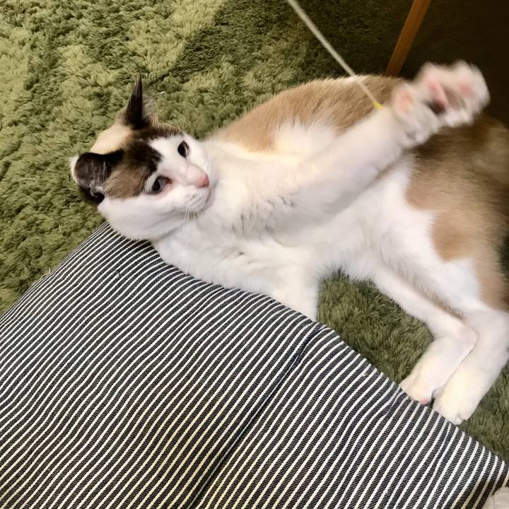 04f08fa0 a37c 4c66 841f bcc641d9a42a 1611129832550