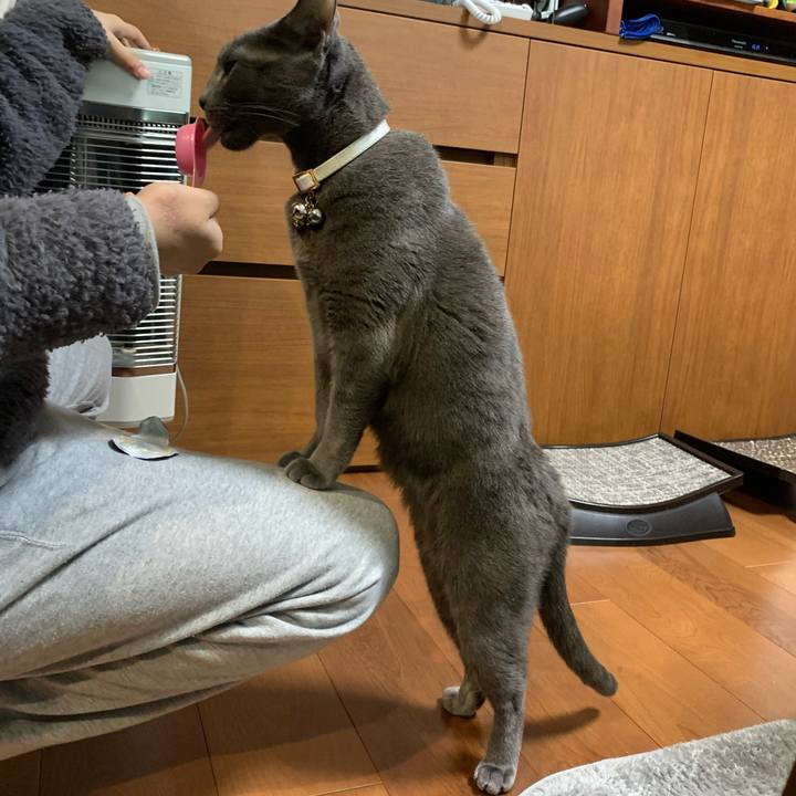 04f10ed8 a379 41f9 80eb 541b4a2bbbdc 1645424521527