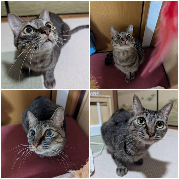 04f124b6 b4ce 4c08 a845 3c6da5d63a0e 1738544506168