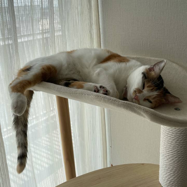 04f13eed 5423 47fb a73f c9ad263f2ebd 1627797279306