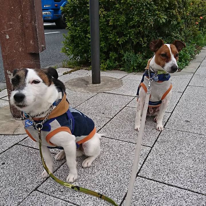 04f1450d 8f3b 4068 8cbe 45992f7ee6a9 1555019889743